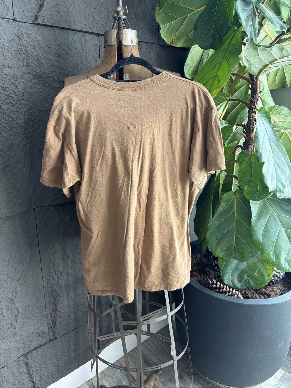 Feather Graphic T-Shirt - Brown - Picture 3 of 3